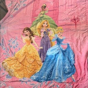 Princess pink blanket